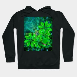 clover and kaleidoscope Hoodie